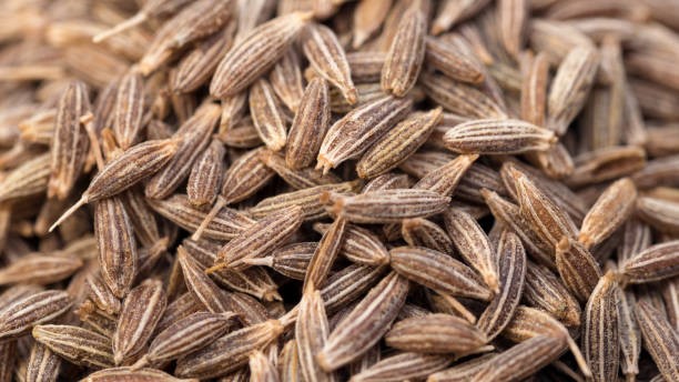 Gulf Quality Cumin Seed